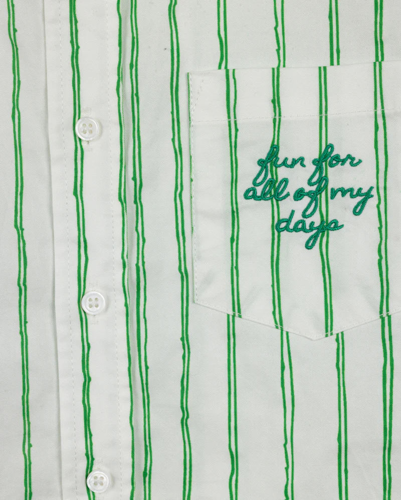 VIBE GREEN PINSTRIPED EMBROIDERED BLOUSE - Image 2